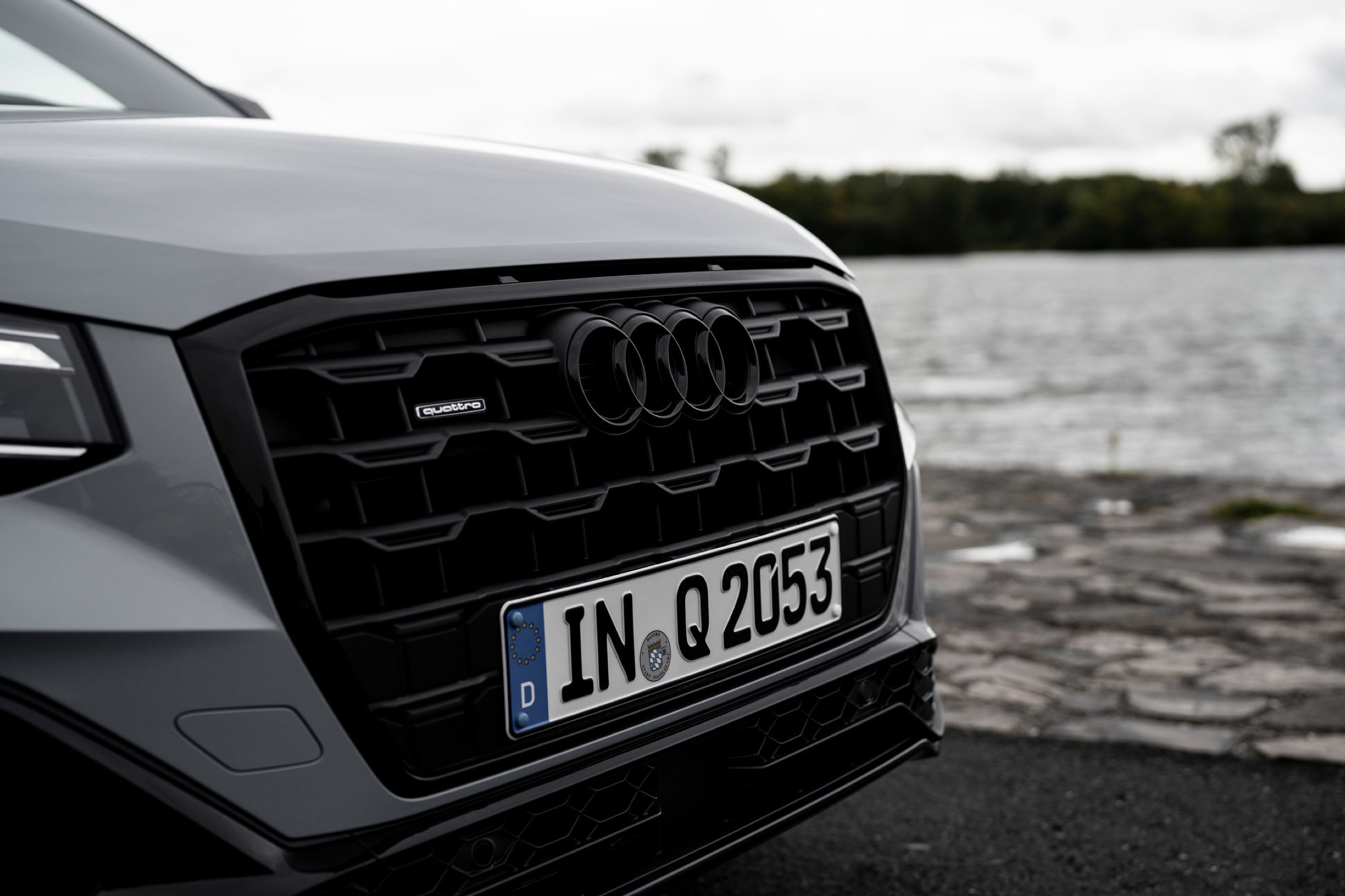 Audi Q2 dettaglio griglia single-frame