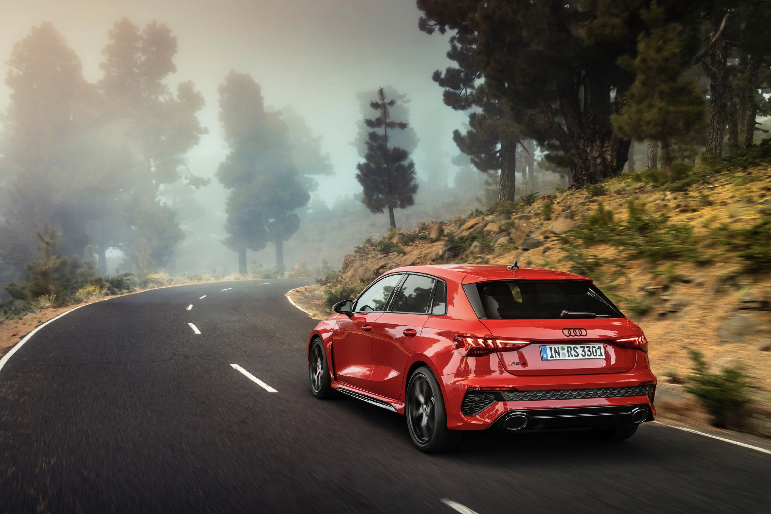 Audi RS 3 Sportback - dettaglio